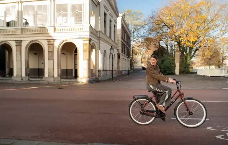 Stadsfietsen